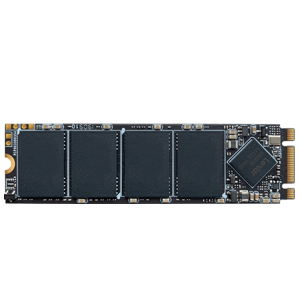 Lexar NM100 Internal SSD M.2 SATA III 2280 512GB