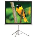 60'' x 60'' Portable Tripod Projection Screen